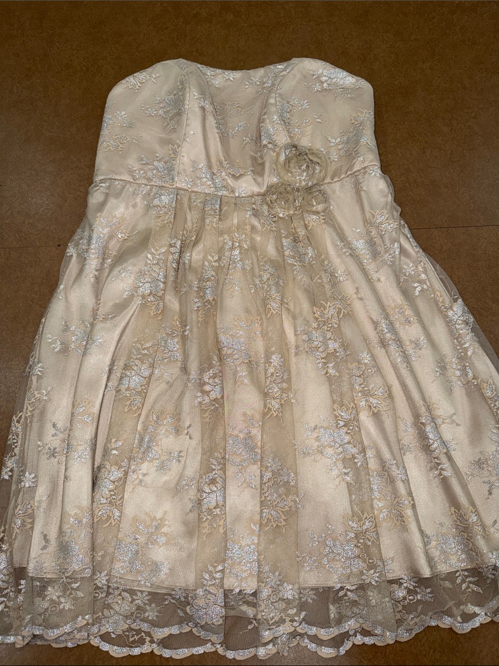 David's Bridal Strapless Lace-Appliqué Cocktail Dress in Champagne • Support •18